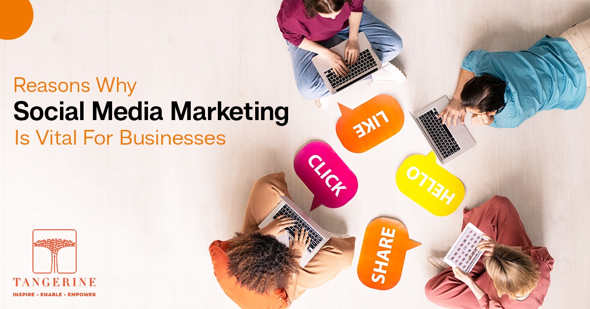 Reasons Why Social Media Marketing Is Vital For Businesses